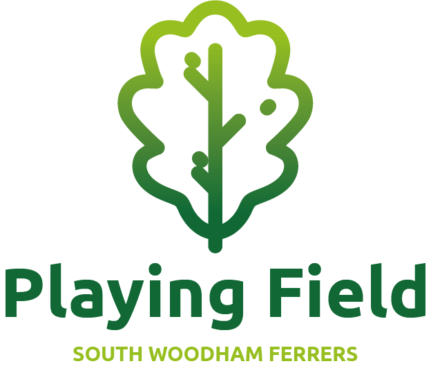 SWF Playing Field